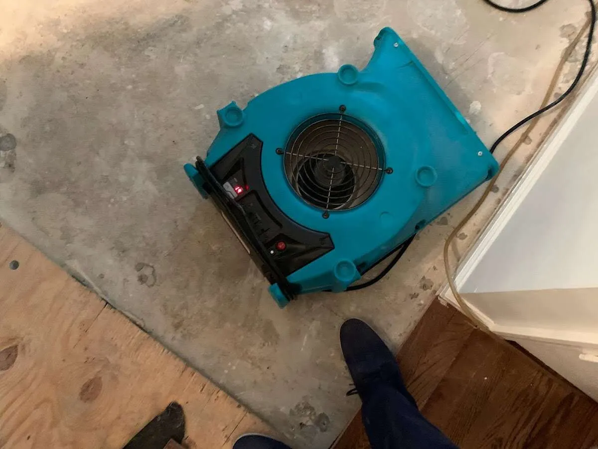 Air mover drying subfloor during Leak Detection & Repair in Franklin